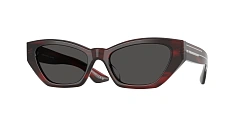 Солнцезащитные очки Oliver Peoples  0OV5582SU/176073