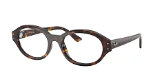 Оправа Ray-Ban 0RX7257/8260