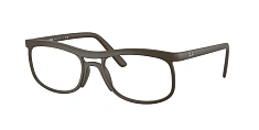Оправа Ray-Ban 0RX7254/8063