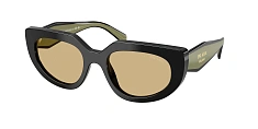 Солнцезащитные очки Prada 0PR D02S/0CD80L