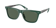 Солнцезащитные очки Polo Ralph Lauren  0PH4205U/6089/2