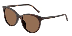 Солнцезащитные очки Dolce & Gabbana  0DG4540/502/13