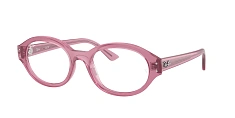 Оправа Ray-Ban 0RX7257/8260