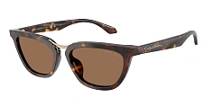 Солнцезащитные очки Giorgio Armani  0AR8253U/501787