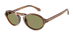 Солнцезащитные очки Giorgio Armani  0AR8219U/616314