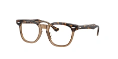 Оправа Ray-Ban  0RY9098V/3960 