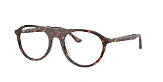 Оправа Ray-Ban 0RX5441/8423