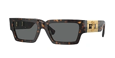 Солнцезащитные очки Versace 0VE4459/314/87